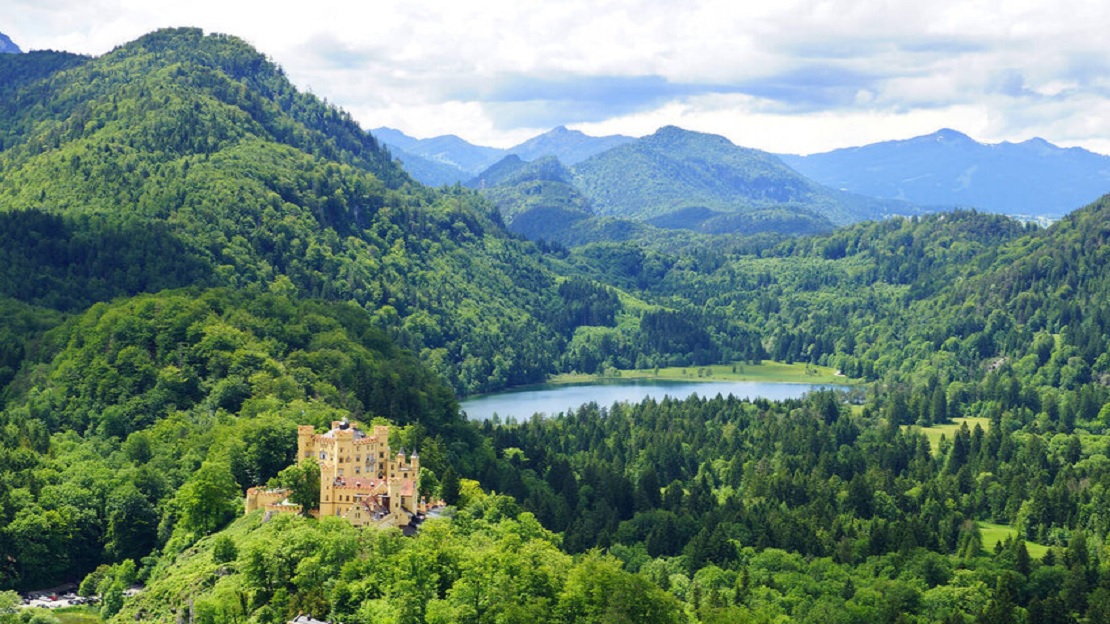 أزمة الطاقة الخضراء: من موت الأبقار في الدنمارك إلى تهديد مائدة العرب بـ