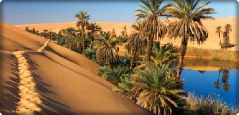 واحات توزر تحتفل بالعيد الأريعين بمهرجانها الدولي