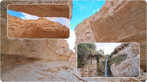 السياحة في مدينة تمغزة الساحرة بربوع الجريد بالجنوب الغربي لتونس