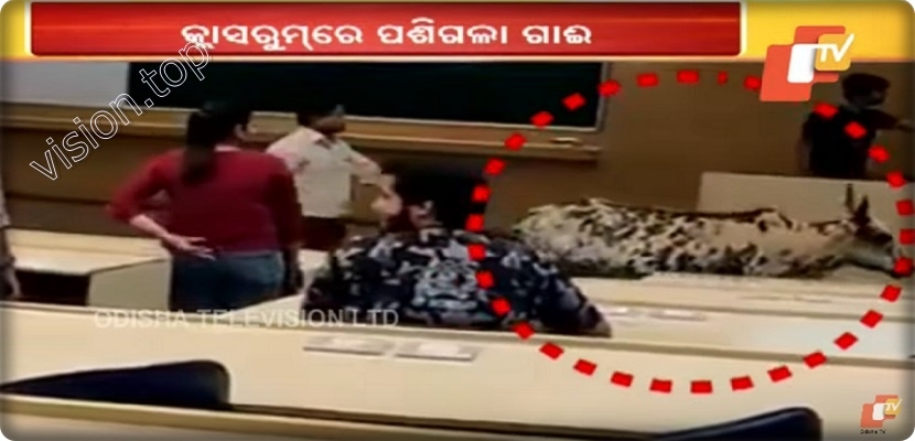 فيديو، في الهند..سر وجود  بقرةداخل قاعة محاضرات 