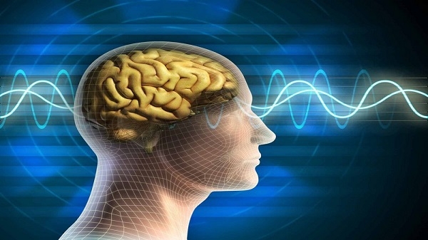 يقول الباحث ليتزكو، إن العلماء قضوا عقودًا وهم يدرسون الطريقة التي يترجم بها الدماغ ما يحصل عليه من بيانات "خام" من الحواس، لكن ما نعرفه حتى الآن لا يزال في بداياته.