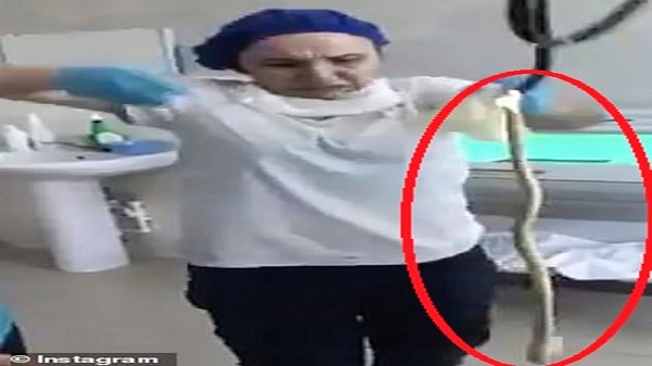 فيديو لثعبان يدخل إلى جسد إمرأة عن طريق الفم
