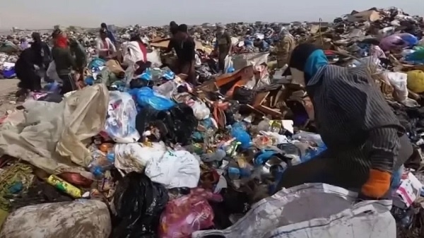 العراقيون في البصرة