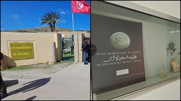 تونس (شمالي غرب) وكالة إحياء التراث والتنمية الثقافية تنظم جولة بين ثنايا التاريخ في شمتو وبلاريجيا