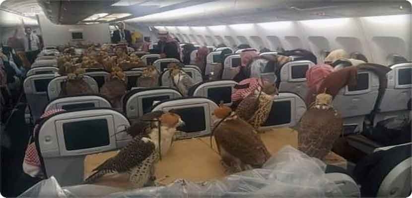 640 ألف دولار مربوطة إلى كراسي المسافرين في رحلة جوية متجهة إلى جدة