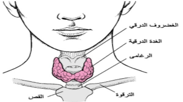 أعراض فرط نشاط وكسل الغدة الدرقية