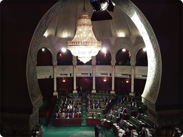 تمت الإشارة إلى نجيب سويرس، وضاحي خلفان كأسماء لشخصيات تحاول فرض "النموذج المصري"، بحسب تعبير النائب عن حركة النهضة، فتحي العيادي، مشيرا إلى أنه "نموذج الإقصاء والتهميش".
