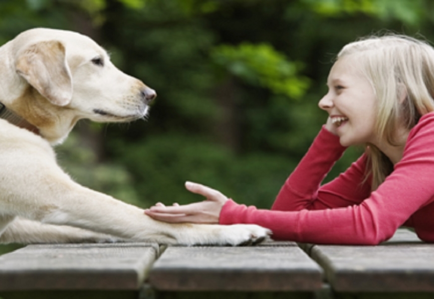  الذكاء الاصطناعي قد يسمح للناس والحيوانات بالتحدث معا 