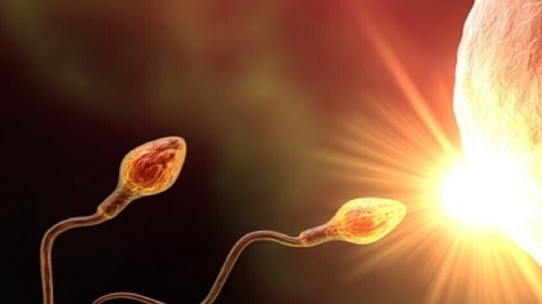 انعدام الوزن يُعيق الإخصاب بنسبة 30%.. علماء أستراليون يكشفون السبب ويقترحون حلاً هرمونياً للحمل في الفضاء